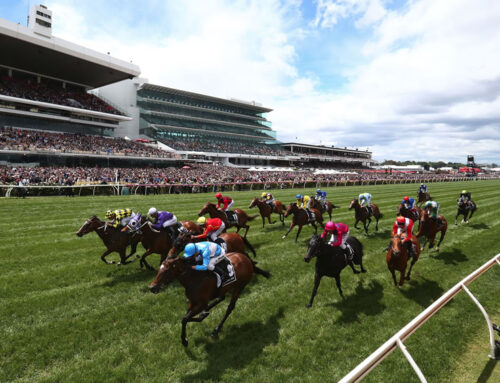 Value Roughie Winners