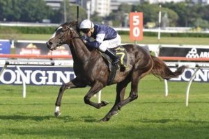 Sydney Cup 2017 - Sydney Autumn Racing Carnival.