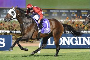 Rosehill Guineas 2017 - Sydney Racing Carnival