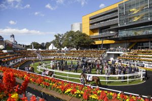 Sydney Royal Randwick Races - Horse Racing Tips 2017