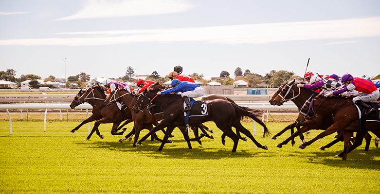 Brisbane Winter Racing Carnival 2017 - Best horse racing tips