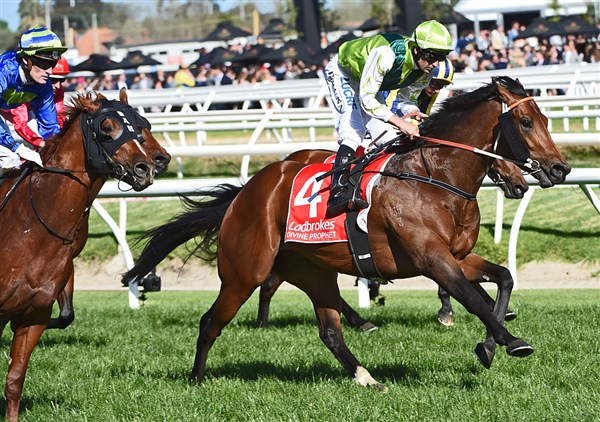 Caulfield Guineas Melbourne Racing Tips this weekend