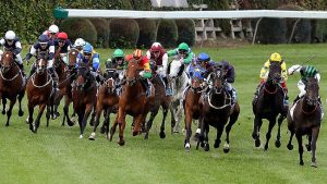 Cox Plate Day tips