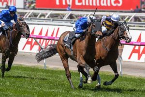 Melbourne Cup Carnival Tips