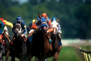 Melbourne Racing Tips review