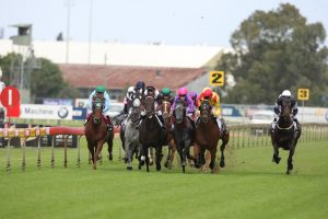 Sydney Horse Racing Tips