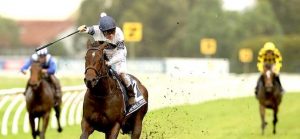 Sydney Racing Tips and Golden Slipper Tips