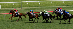 Sydney Racing Carnival Tips