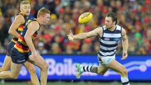 AFL tips and betting