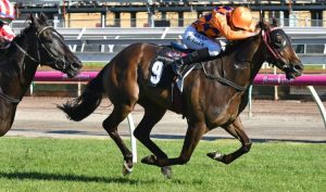 Saturday Horse Racing Tips