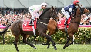 Melbourne Spring Racing Carnival Stable Stars