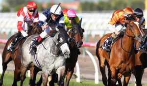 Melbourne and Sydney Racing Tips