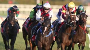 The Everest and The Guineas