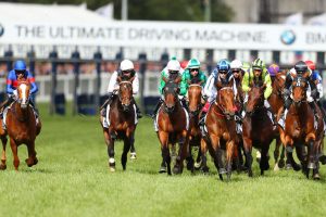 Caulfield Cup tips tomorrow