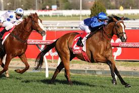 Hartnell a winner for us at $19