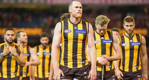 AFL 2019 Preview - Hawthorne