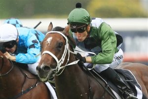 Golden Slipper Tips The Winners and Losers from the 2019 Golden Slipper barrier draw