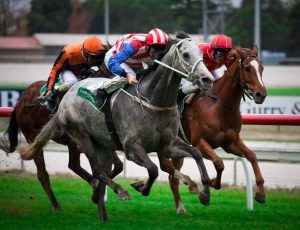 Melbourne and Sydney Racing review - Australian Racing Tips