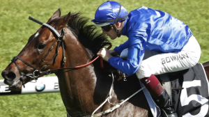 Sydney Racing Tips by Itipsports