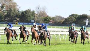 Sydney Racing tips Queen Elizabeth Stakes