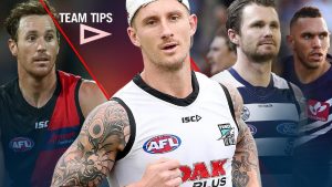 AFL Betting Tips - win strike rate