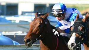 Brisbane Racing Tips - The Bostonian