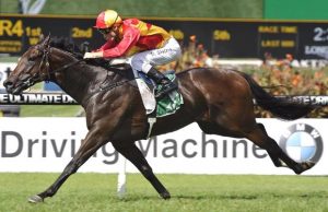 Brisbane Racing Tips - BTC Cup