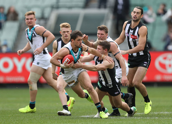 AFL tips betting - round 7 Collingwood Port