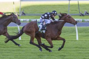 Adelaide Racing Tips - South Australian Derby