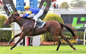 Brisbane and Adelaide Racing Tips - review