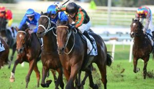 Brisbane Racing Tips - Doomben Cup