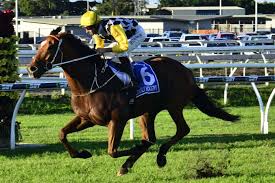 Brisbane Racing Tips - Stradbroke Handicap