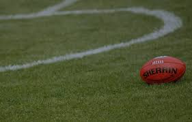 AFL Betting Tips - round 14 review
