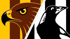 AFL Betting Tips - Friday night 