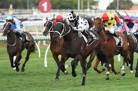 Brisbane Racing Tips - Carnival wrap Brisbane Winter Racing Carnival - review