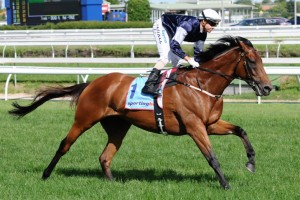 Melbourne Racing This Saturday 