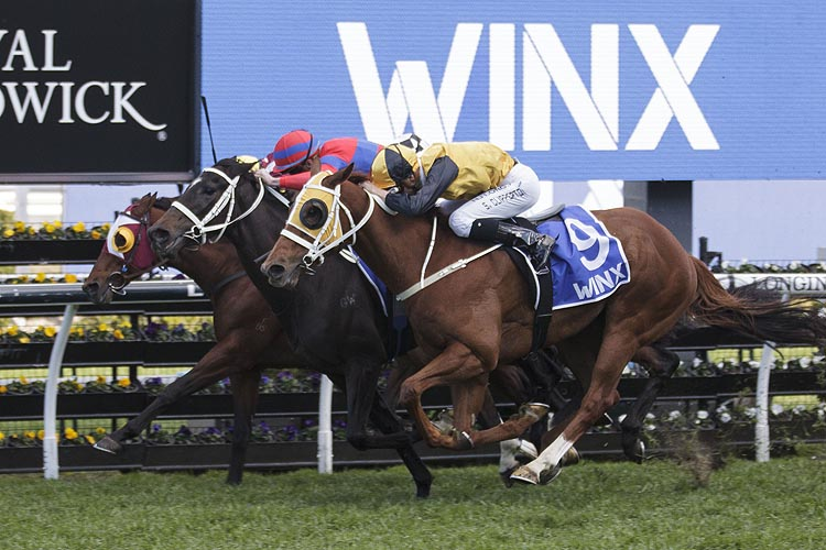 Sydney Racing Tips Winx Stakes