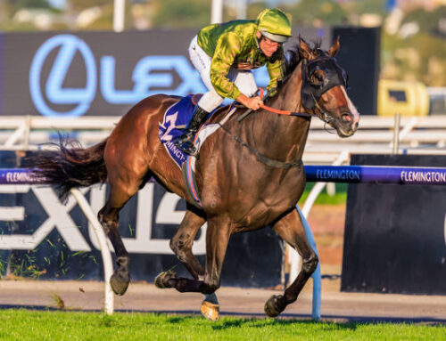 Saturday Racing 5 Best Bet Winners