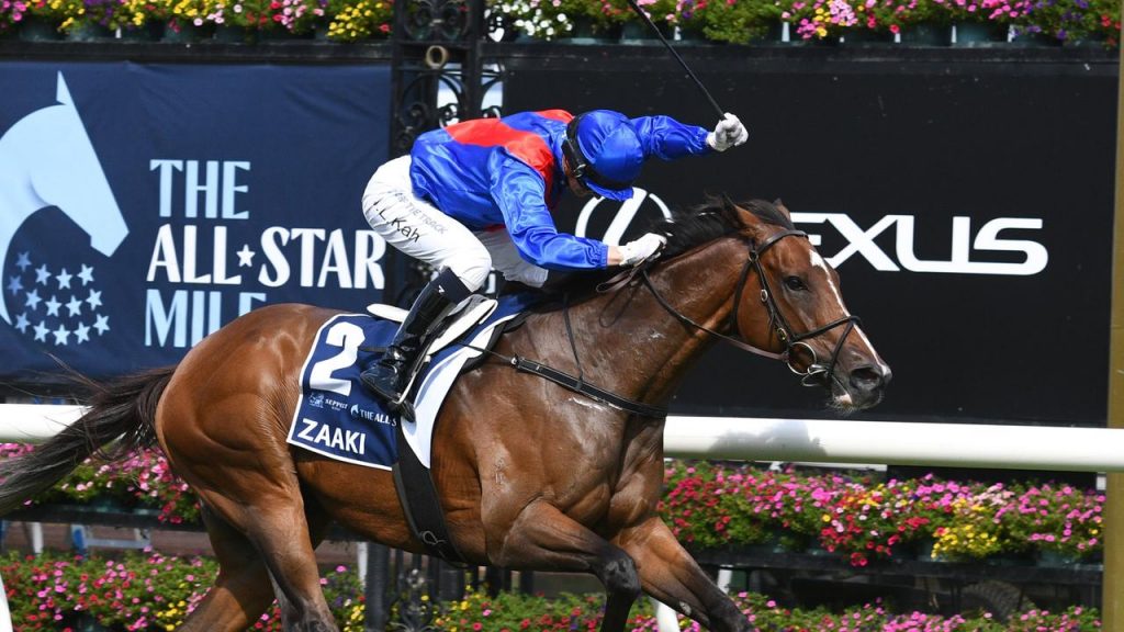 Zaaki a spring stable star Premium Horse Racing and Sports Tips