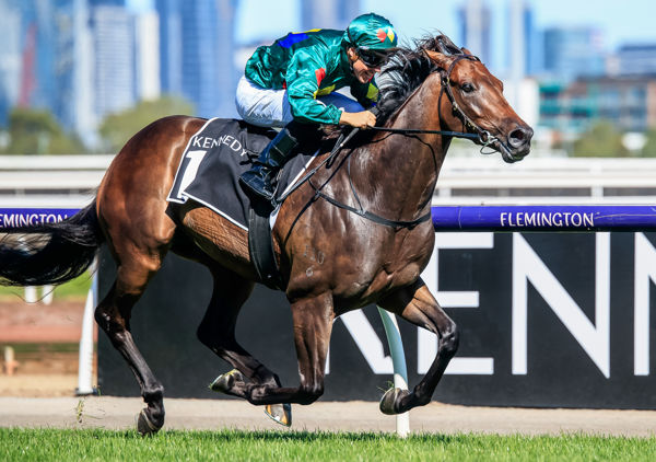 saturday racing tips with itips