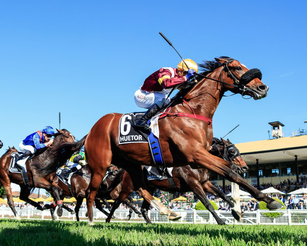 OUR $12 BEST VALUE BET WINNER DEFEATS ZAAKI 