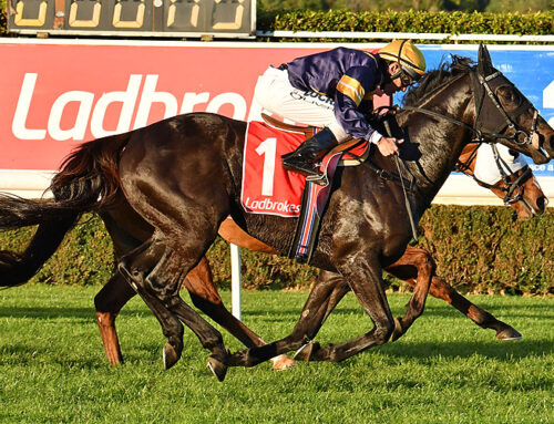 Horse Ratings: How to Use Ratings to Make More Informed Betting Decisions