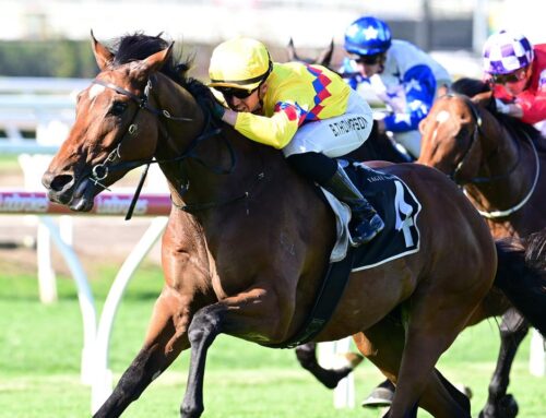 Melbourne Racing Tips 6 Winners