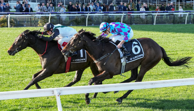 Mr Brightside beats Pride of Jenni