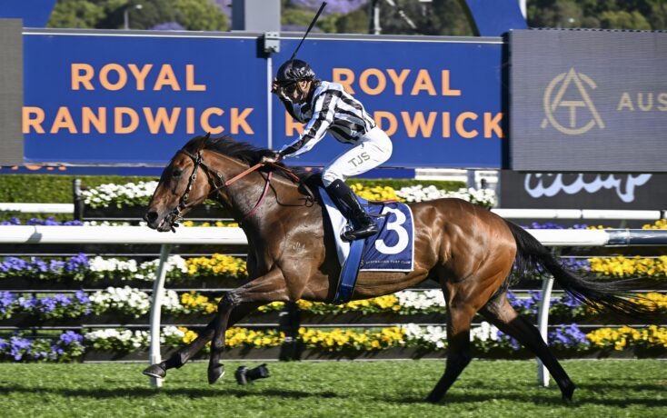 Belcare our $34 Best Roughie Winner Saturday Randwick 