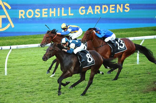 we land a BIG $3,320 Quaddie at Rosehill Saturday 19 October 