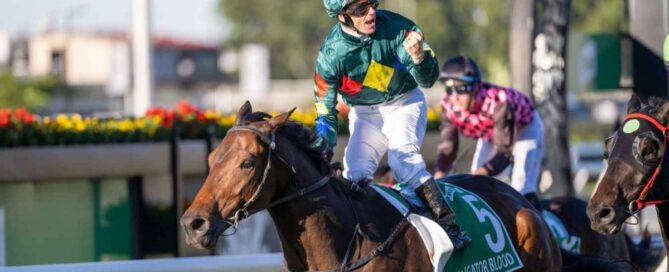 Brisbane Winter Horse Racing Carnival