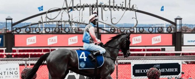 south australian derby feat
