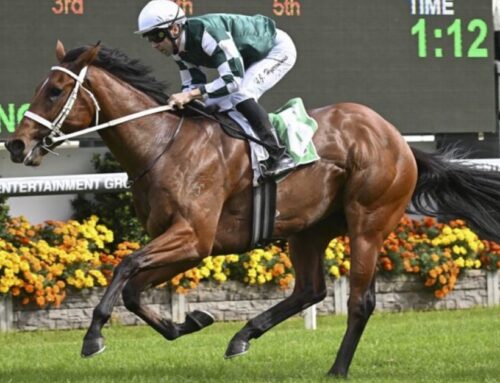 Experience the Thrills of the Brisbane Winter Racing Carnival
