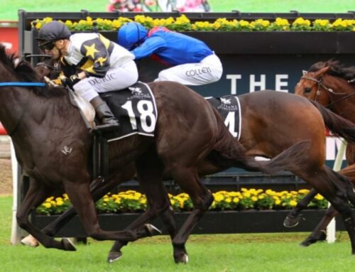 Stradbroke Handicap 2025: Insider Tips for Betting Success